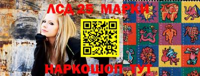 гидропоника Гудермес
