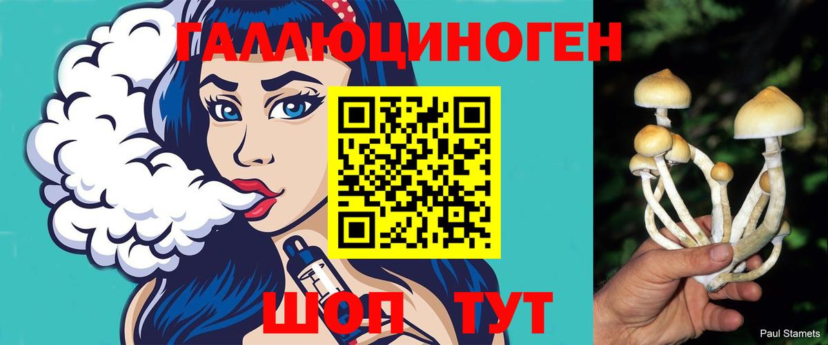Псилоцибиновые грибы мухоморы  Вход с VPN  Минеральные Воды  Псилоцибиновые грибы Psilocybe 